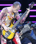 Flea (Red Hot Chilli Pepper)